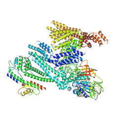 BU of 8qhc by Molmil