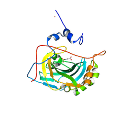 BU of 8qhg by Molmil