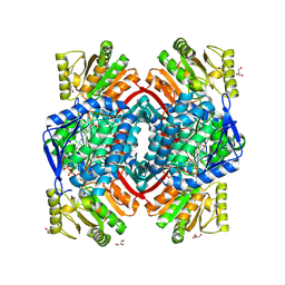 BU of 8qhn by Molmil