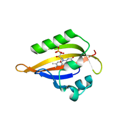 BU of 8qi8 by Molmil