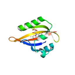 BU of 8qi9 by Molmil