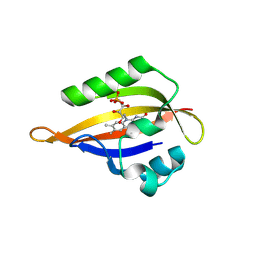 BU of 8qip by Molmil