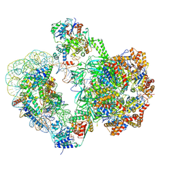 BU of 8qkv by Molmil