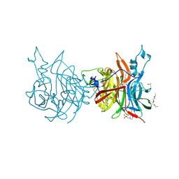 BU of 8qkw by Molmil