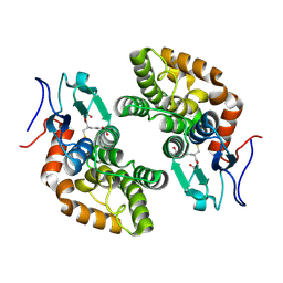 BU of 8qll by Molmil