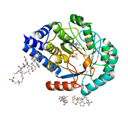 BU of 8qml by Molmil