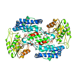 BU of 8qms by Molmil