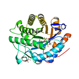 BU of 8qnp by Molmil