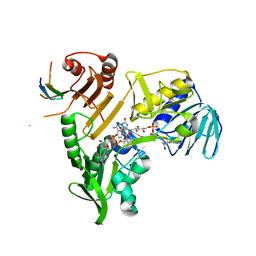 BU of 8qns by Molmil