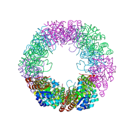 BU of 8qoc by Molmil