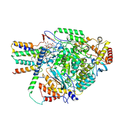 BU of 8qog by Molmil