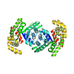 BU of 8qpm by Molmil