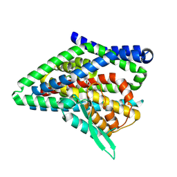 BU of 8qrs by Molmil