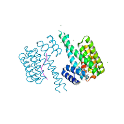 BU of 8qs5 by Molmil