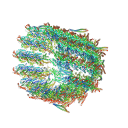 BU of 8qv2 by Molmil