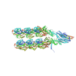 BU of 8qv3 by Molmil