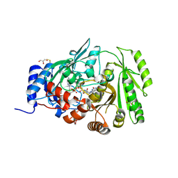 BU of 8qvt by Molmil