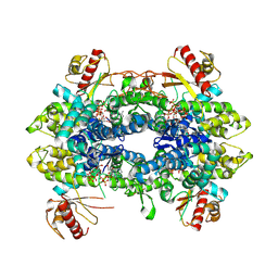 BU of 8qxn by Molmil