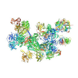 BU of 8rc0 by Molmil