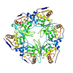 BU of 8rc6 by Molmil