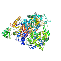 BU of 8rca by Molmil