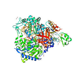 BU of 8rcc by Molmil