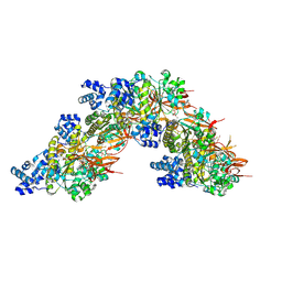 BU of 8rcd by Molmil