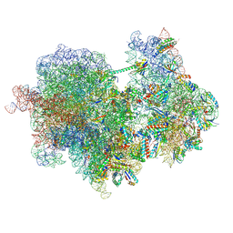 BU of 8rcm by Molmil