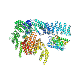 BU of 8rcn by Molmil