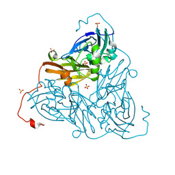 BU of 8rfx by Molmil