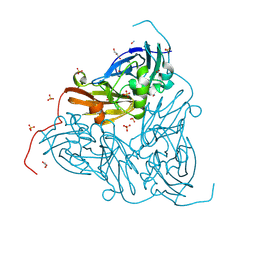 BU of 8rgb by Molmil