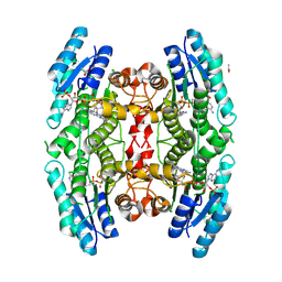 BU of 8rhv by Molmil