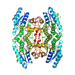 BU of 8rhw by Molmil