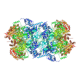 BU of 8rif by Molmil
