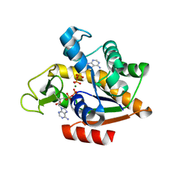 BU of 8rj4 by Molmil