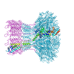 BU of 8rkb by Molmil