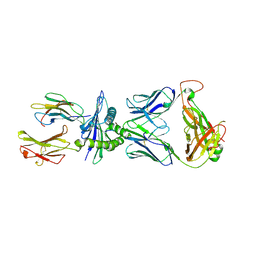 BU of 8rlv by Molmil