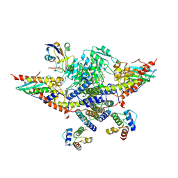 BU of 8rmc by Molmil