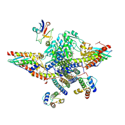 BU of 8rmd by Molmil