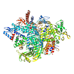 BU of 8rms by Molmil