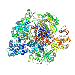 BU of 8rn1 by Molmil