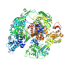 BU of 8rn2 by Molmil