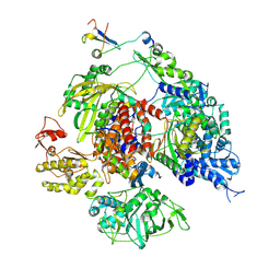 BU of 8rn3 by Molmil