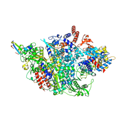 BU of 8rn9 by Molmil