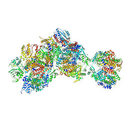 BU of 8rna by Molmil