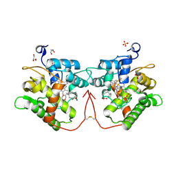 BU of 8rnk by Molmil