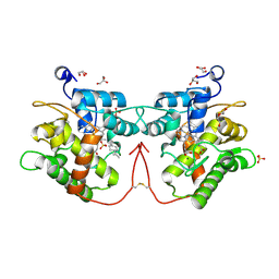 BU of 8rnp by Molmil