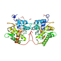 BU of 8rnq by Molmil