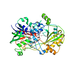 BU of 8rpf by Molmil