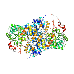 BU of 8rpi by Molmil